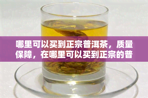 哪里可以买到正宗普洱茶，质量保障，在哪里可以买到正宗的普洱茶