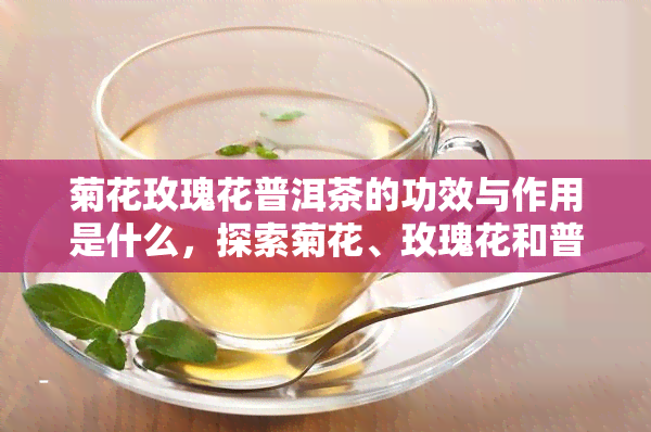 菊花玫瑰花普洱茶的功效与作用是什么，探索菊花、玫瑰花和普洱茶的功效与作用