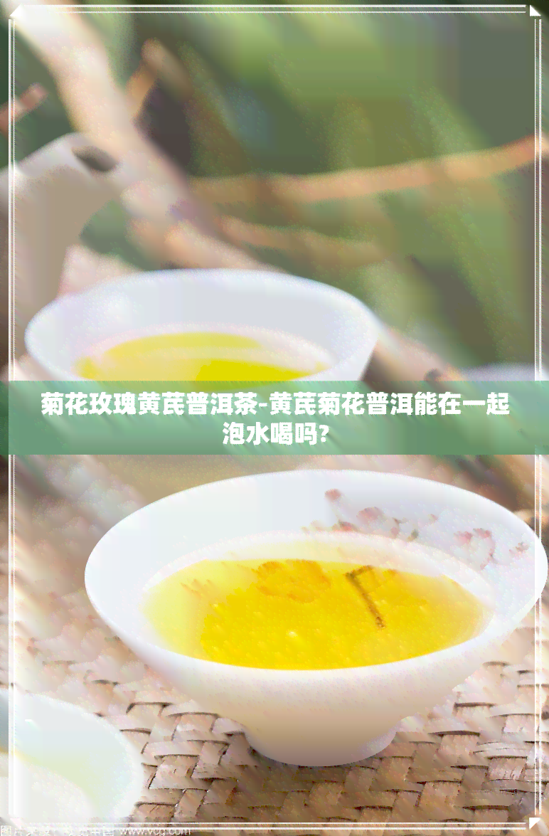 菊花玫瑰黄芪普洱茶-黄芪菊花普洱能在一起泡水喝吗?