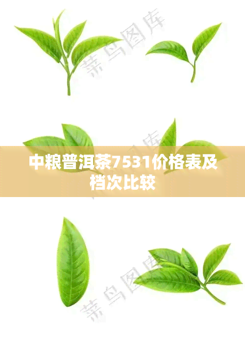 中粮普洱茶7531价格表及档次比较