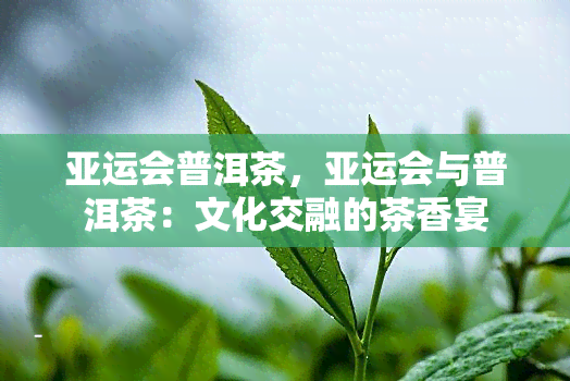 亚运会普洱茶，亚运会与普洱茶：文化交融的茶香宴