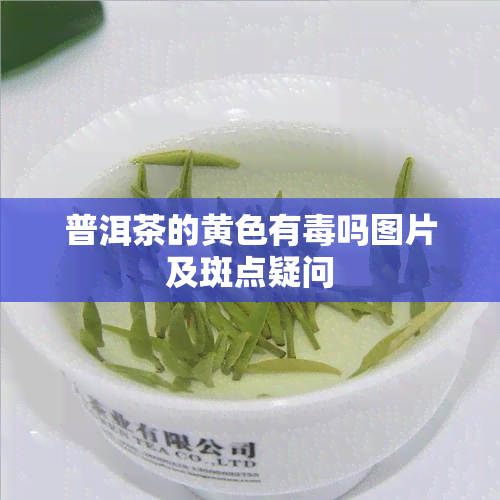 普洱茶的黄色有吗图片及斑点疑问