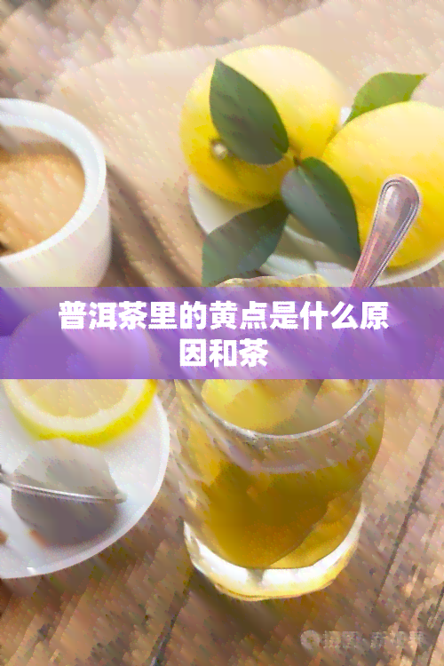 普洱茶里的黄点是什么原因和茶