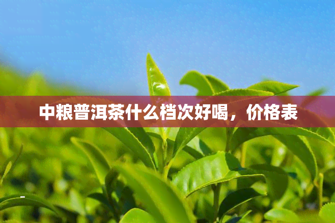 中粮普洱茶什么档次好喝，价格表