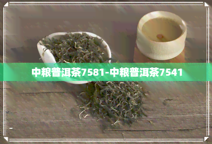 中粮普洱茶7581-中粮普洱茶7541