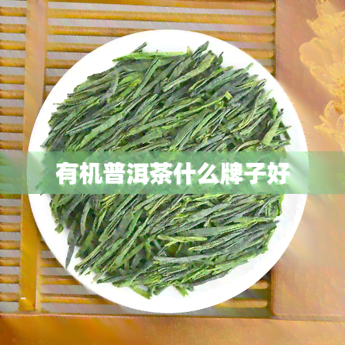 有机普洱茶什么牌子好