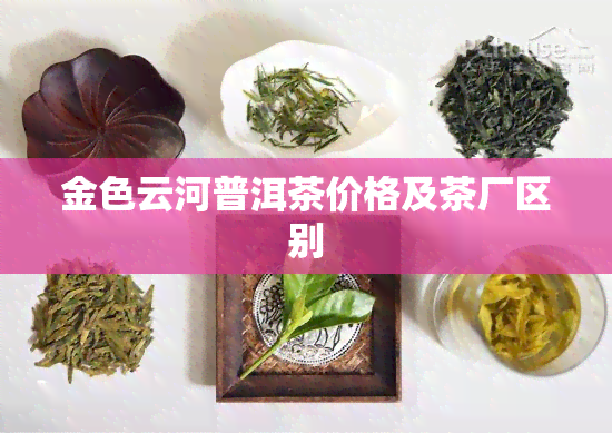 金色云河普洱茶价格及茶厂区别