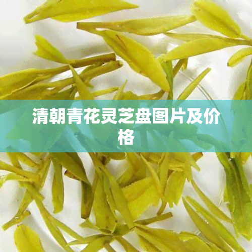 清朝青花灵芝盘图片及价格