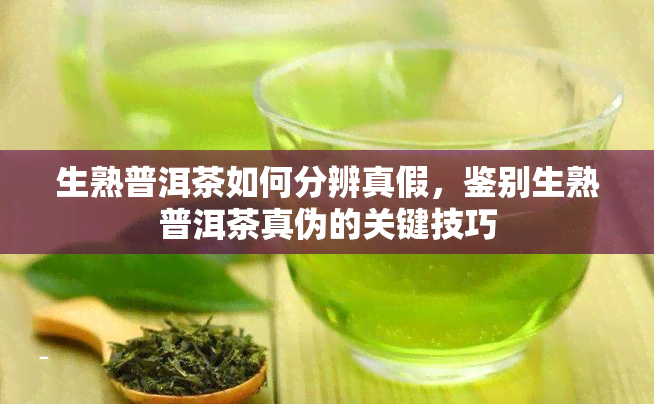 生熟普洱茶如何分辨真假，鉴别生熟普洱茶真伪的关键技巧