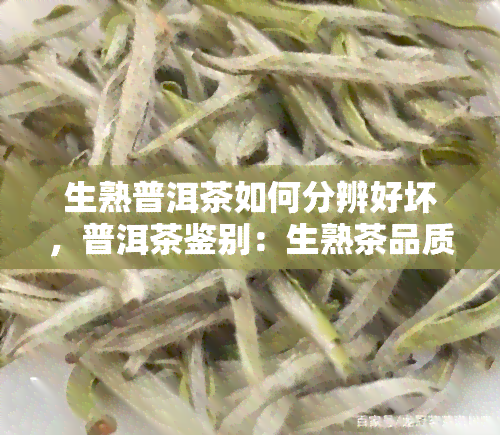 生熟普洱茶如何分辨好坏，普洱茶鉴别：生熟茶品质好坏一一解析