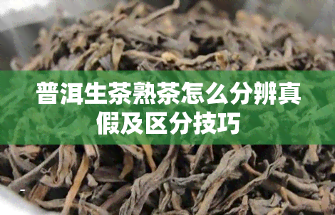 普洱生茶熟茶怎么分辨真假及区分技巧