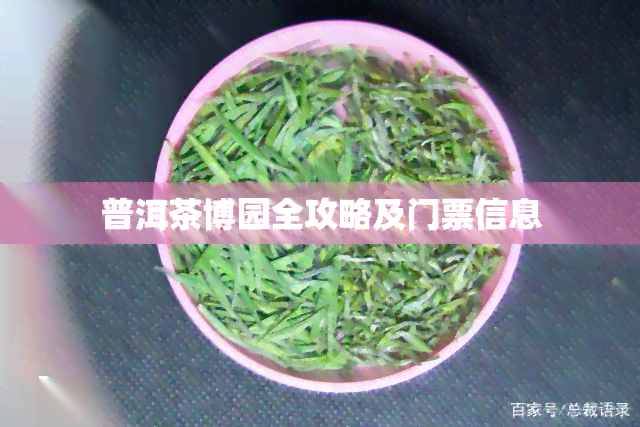 普洱茶博园全攻略及门票信息