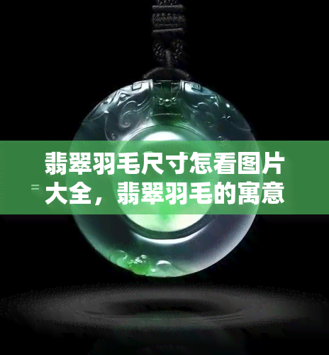 翡翠羽毛尺寸怎看图片大全，翡翠羽毛的寓意