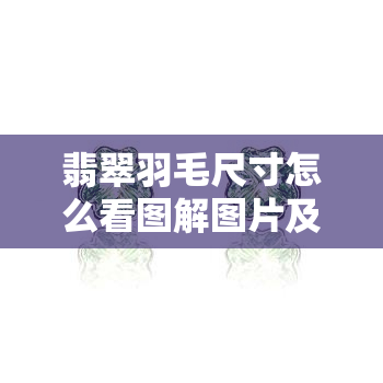 翡翠羽毛尺寸怎么看图解图片及价格，翡翠羽毛寓意，吊坠镶嵌图片