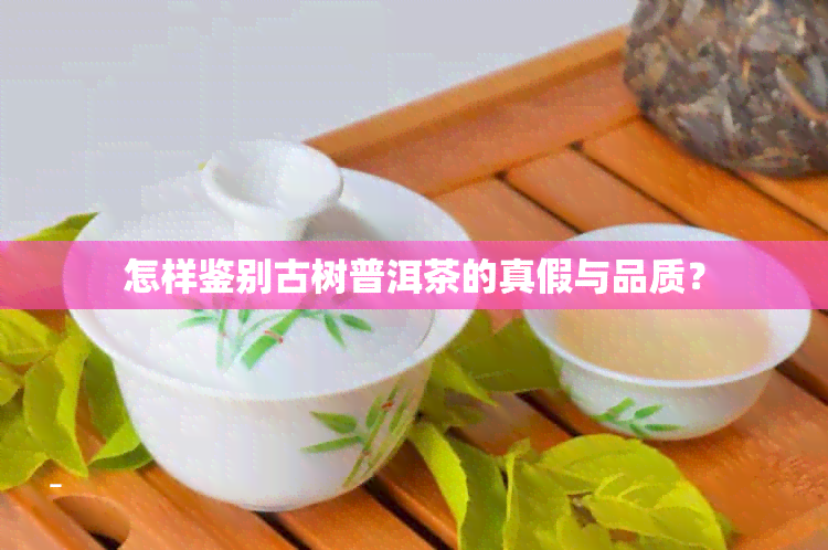 怎样鉴别古树普洱茶的真假与品质？