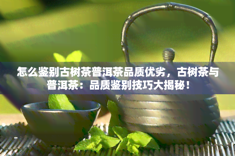 怎么鉴别古树茶普洱茶品质优劣，古树茶与普洱茶：品质鉴别技巧大揭秘！