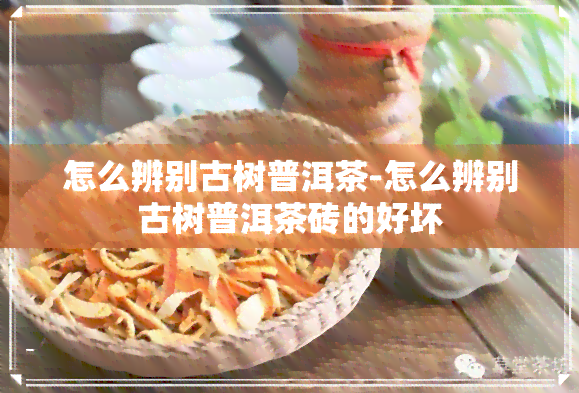 怎么辨别古树普洱茶-怎么辨别古树普洱茶砖的好坏