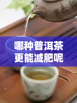 哪种普洱茶更能减肥呢女生喝，哪种普洱茶可以减肥效果