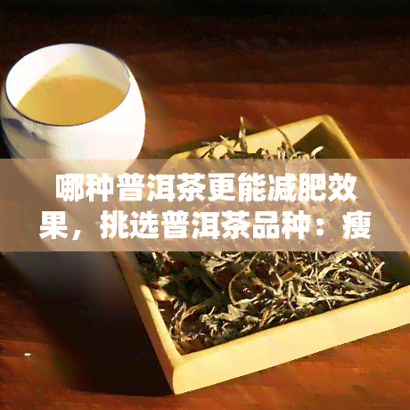 哪种普洱茶更能减肥效果，挑选普洱茶品种：瘦身利器还是神话？