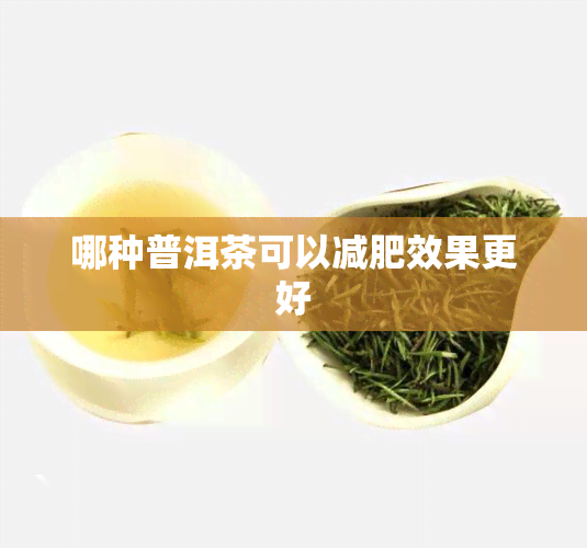 哪种普洱茶可以减肥效果更好