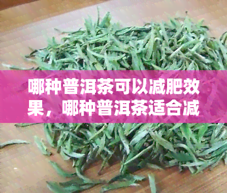 哪种普洱茶可以减肥效果，哪种普洱茶适合减肥？挑选品种的指南