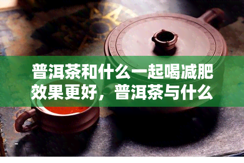 普洱茶和什么一起喝减肥效果更好，普洱茶与什么一起泡养生