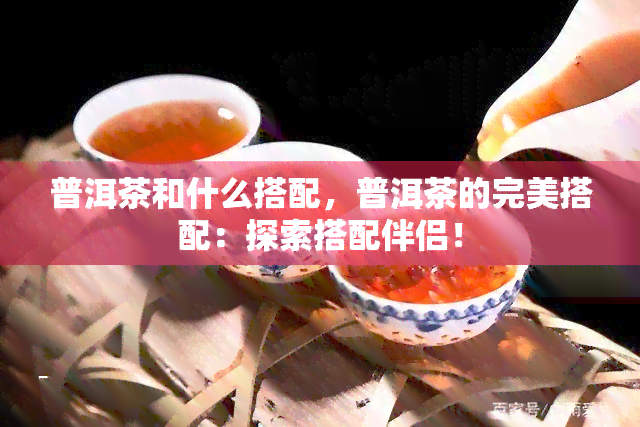 普洱茶和什么搭配，普洱茶的完美搭配：探索搭配伴侣！