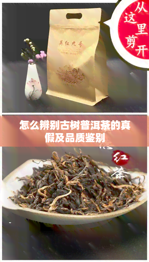 怎么辨别古树普洱茶的真假及品质鉴别