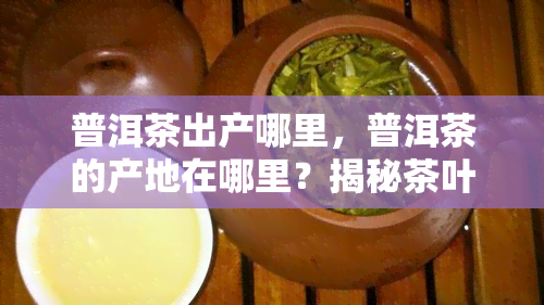 普洱茶出产哪里，普洱茶的产地在哪里？揭秘茶叶的故乡！