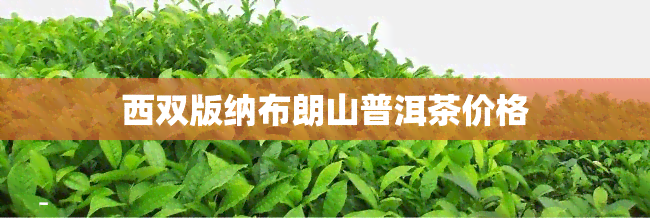 西双版纳布朗山普洱茶价格