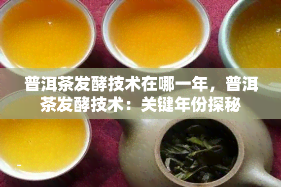 普洱茶发酵技术在哪一年，普洱茶发酵技术：关键年份探秘