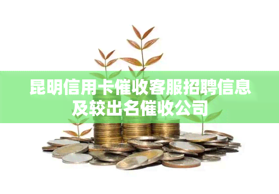 昆明信用卡客服招聘信息及较出名公司