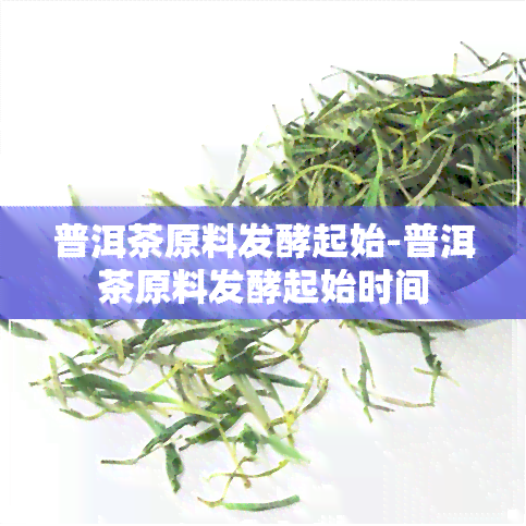 普洱茶原料发酵起始-普洱茶原料发酵起始时间