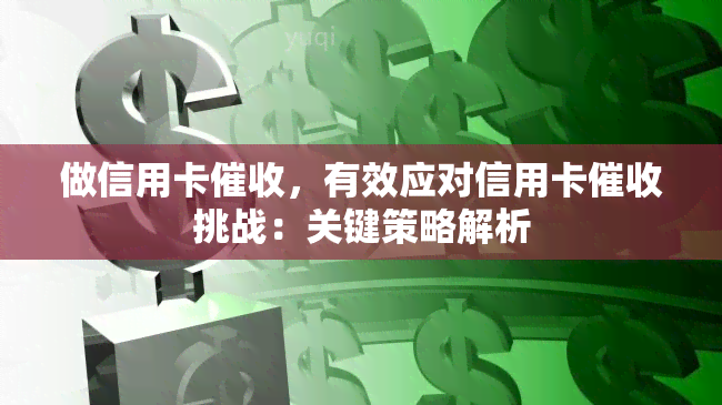 做信用卡，有效应对信用卡挑战：关键策略解析