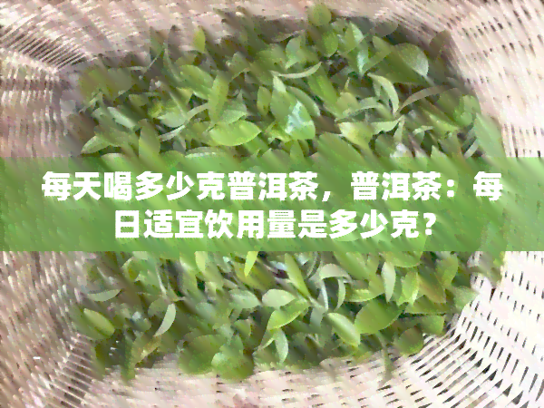 每天喝多少克普洱茶，普洱茶：每日适宜饮用量是多少克？