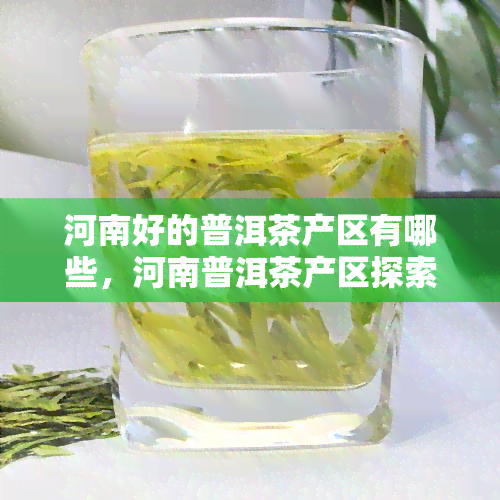 河南好的普洱茶产区有哪些，河南普洱茶产区探索：寻觅优质茶叶的源头