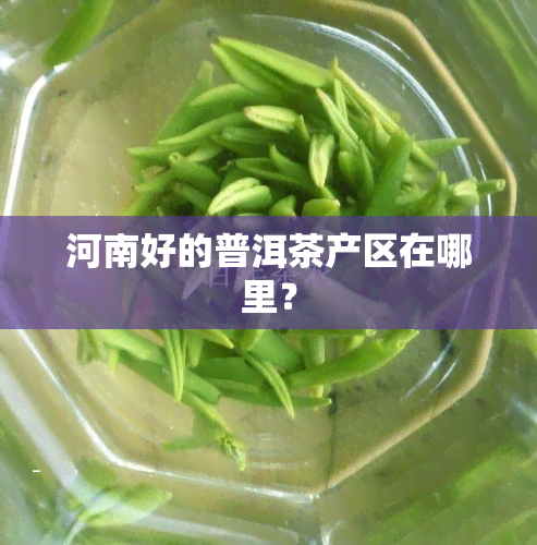 河南好的普洱茶产区在哪里？