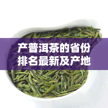 产普洱茶的省份排名最新及产地