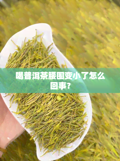 喝普洱茶腰围变小了怎么回事？