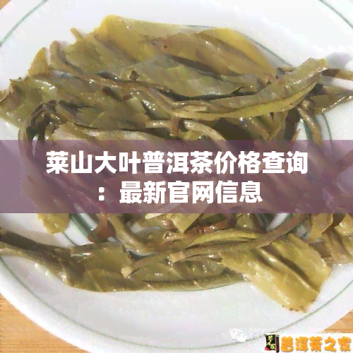 莱山大叶普洱茶价格查询：最新官网信息