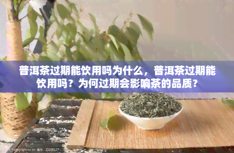 普洱茶过期能饮用吗为什么，普洱茶过期能饮用吗？为何过期会影响茶的品质？