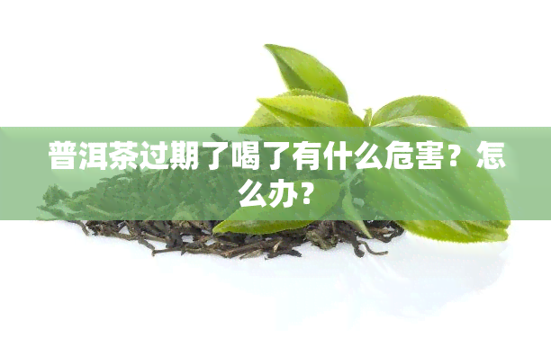 普洱茶过期了喝了有什么危害？怎么办？