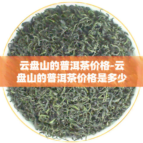 云盘山的普洱茶价格-云盘山的普洱茶价格是多少