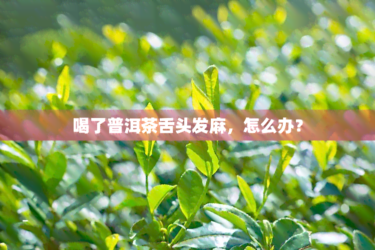 喝了普洱茶舌头发麻，怎么办？