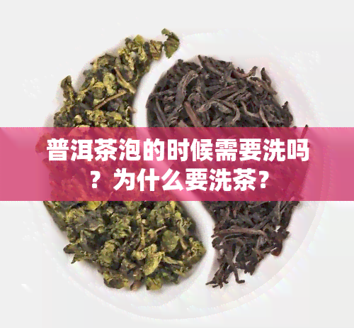 普洱茶泡的时候需要洗吗？为什么要洗茶？