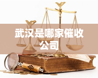 武汉是哪家公司