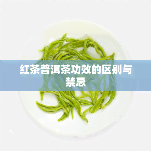 红茶普洱茶功效的区别与禁忌