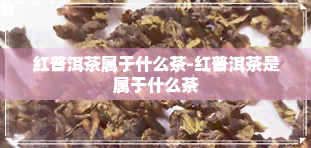 红普洱茶属于什么茶-红普洱茶是属于什么茶