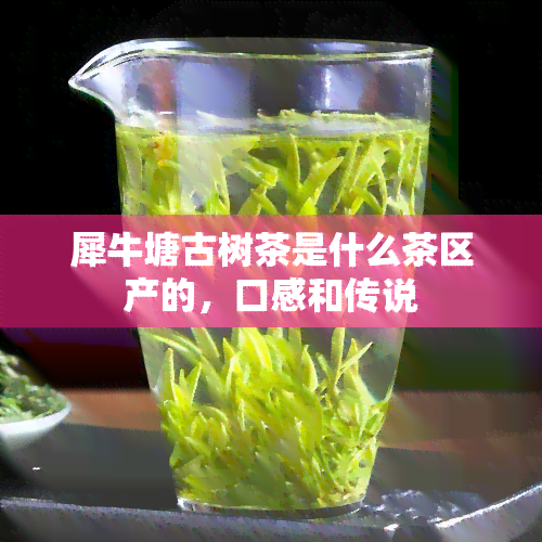 犀牛塘古树茶是什么茶区产的，口感和传说