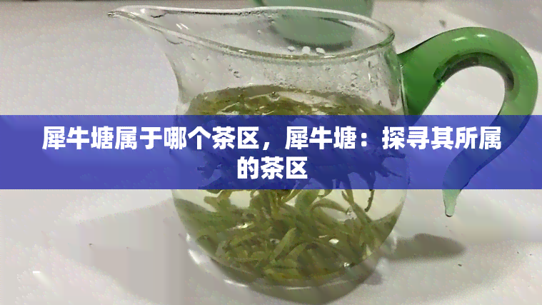 犀牛塘属于哪个茶区，犀牛塘：探寻其所属的茶区